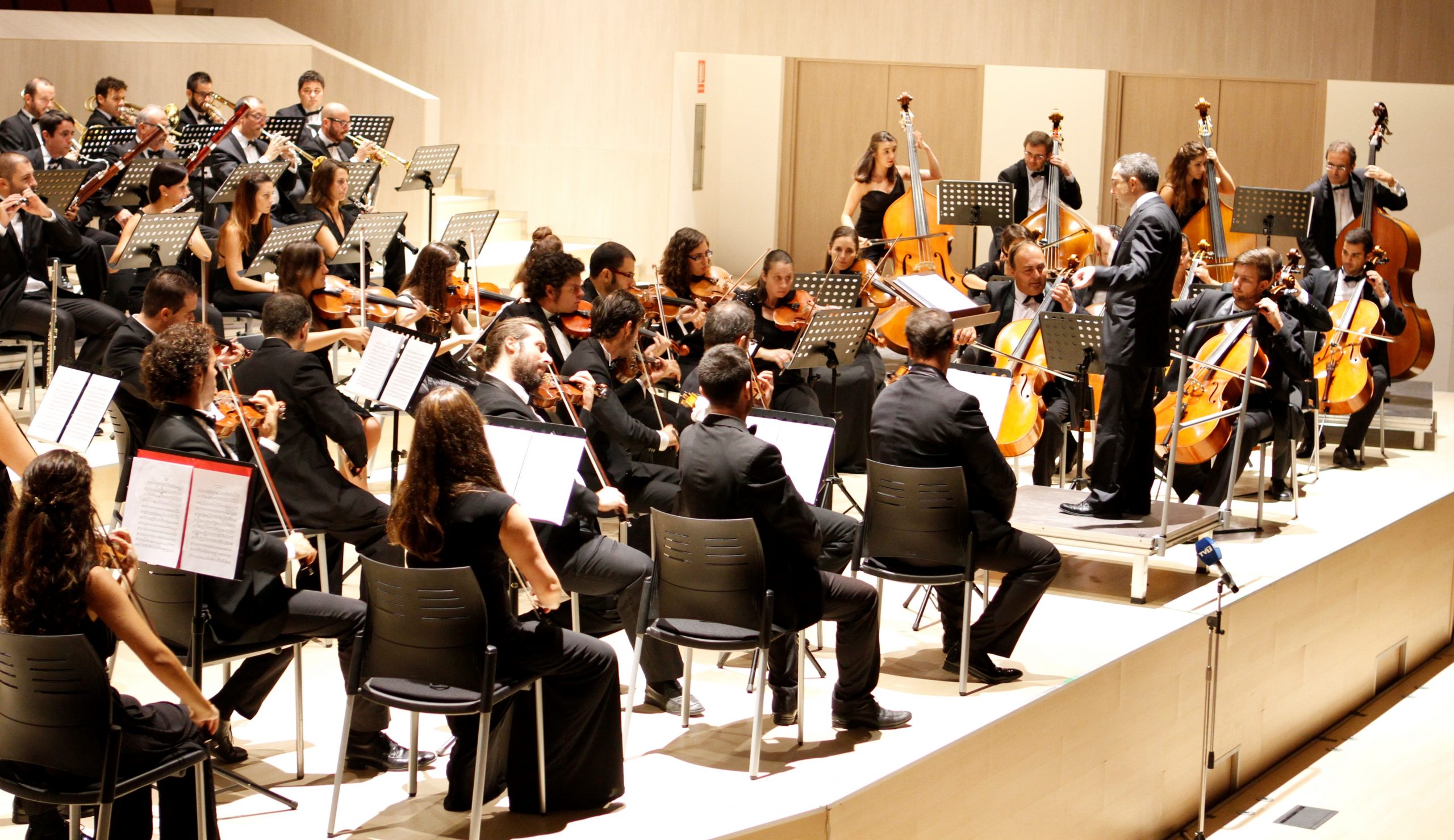 Orquesta Sinfónica de Torrevieja